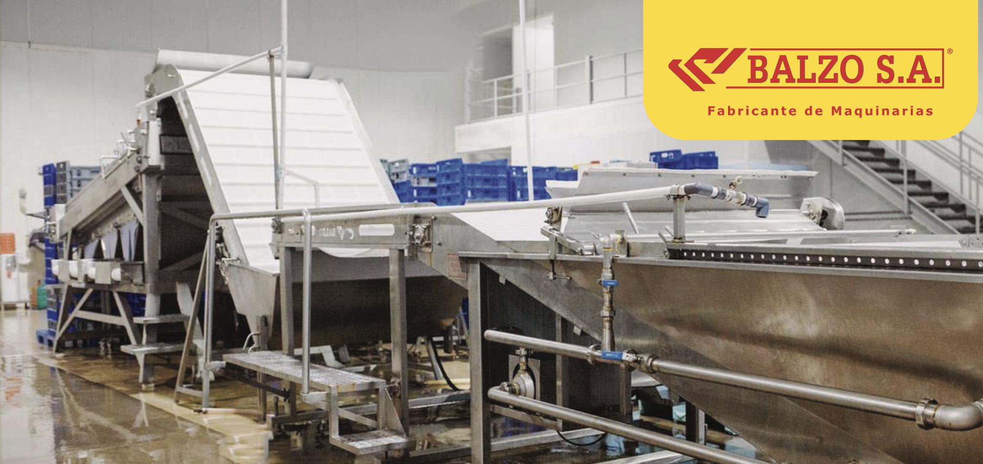 Balzo clasificadoras camaron maquinaria pesquera