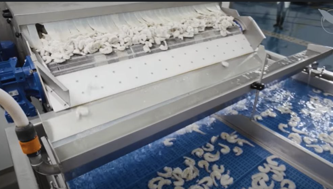 PALINOX equipos de congelacion IQF