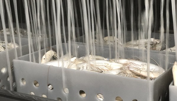 Sistema de salmuera PALINOX